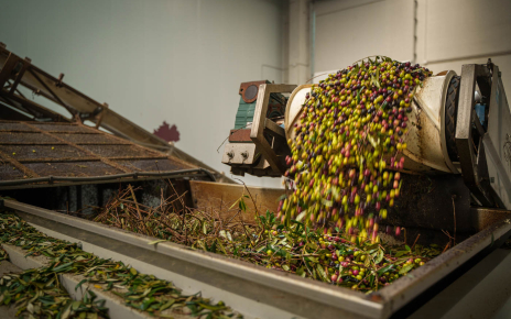 This is the modern mill at the finca producing extra virgin oil