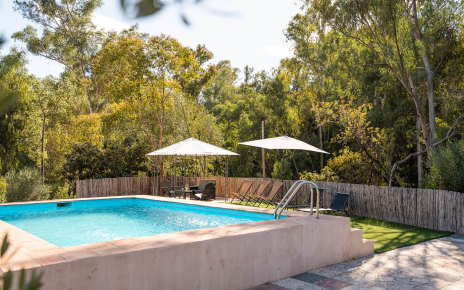 Zona de piscina rodeada de árboles