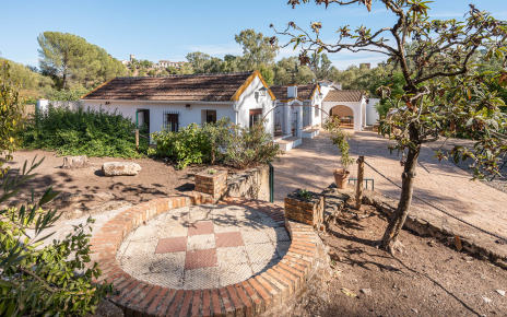 Unos escalones hasta zona de piscina