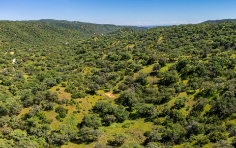 Tu enclave: Parque Natural Sierra de Hornachuelos