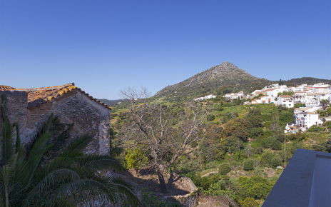 Vistas desde la terraza nivel medio