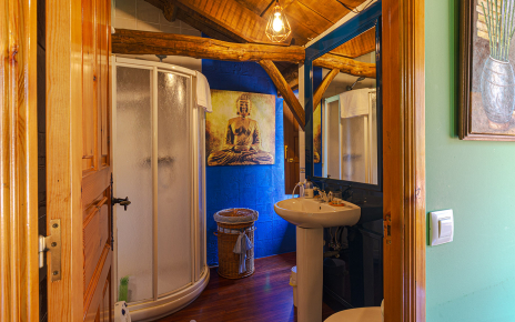 Baño con ducha de dormitorio 2