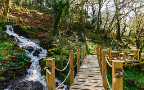 Puente, cascada y zona de picnic privada
