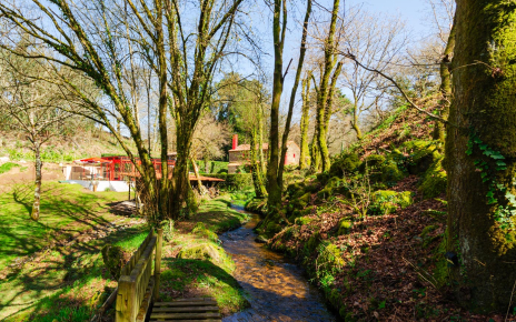 Una finca privada con arroyo propio para tus vacaciones