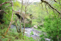 Local treks along rivers are walking distance also