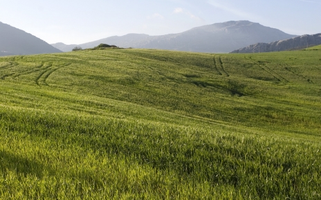 Fertile fields near El Torcal de Antequera