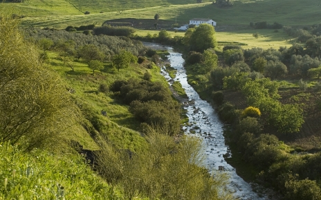 Inland from Malaga in Spring