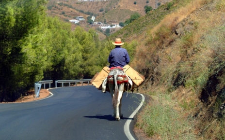 Traditional ways of life in Axarquia