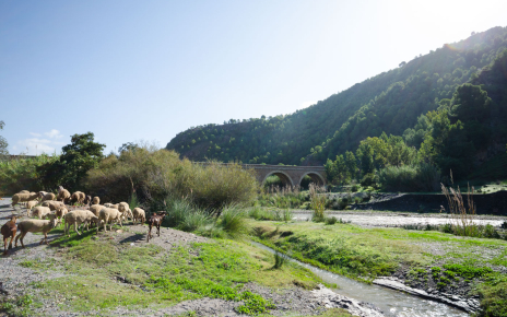 Uno de los senderos de la zona por el río Guadalfeo