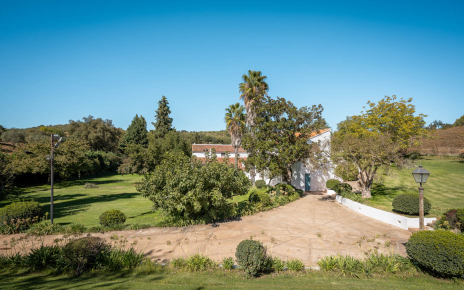 The back of annexe with four suites