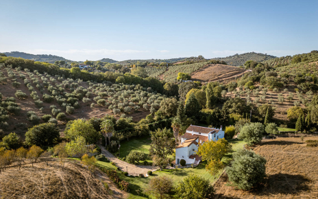 You are in the Sierra Norte of Seville National park