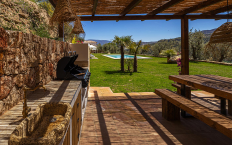 Barbecue area with sink,fridge, freezer.