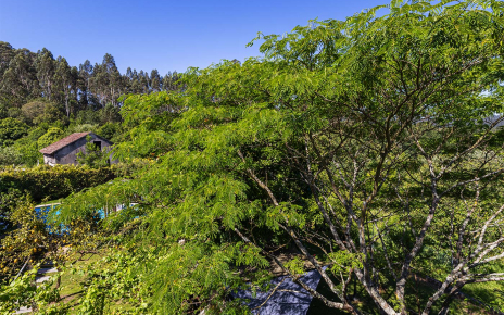 Views from Bedroom 3