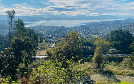 Pontevedra estuary is 10 min away