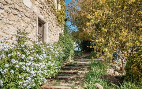 Escalones desde entrada principal a zona de chill out