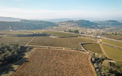 La zona produce vinos y champán