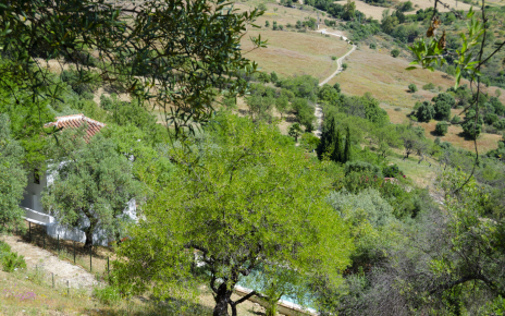 La casa tiene acceso por pista de tierra de 1 km