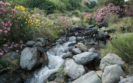 Un paseo alrededor de la propiedad por la mañana