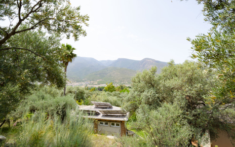 Entorno semi tropical a las afueras de Órgiva