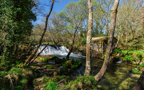 Local walks along rivers and forests