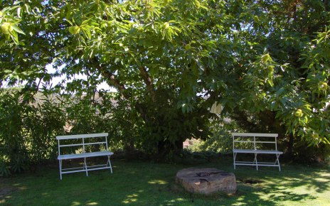 Pretty shaded corner by chestnut tree