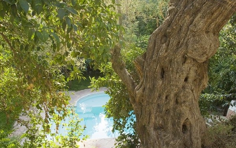 Villa gardens enjoy good privacy