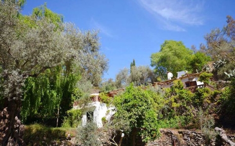 The cortijo is ensconced amongst rich foliage