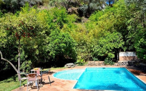 Private swimming pool and orange trees