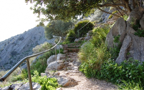 Steps up to La Pileta Cave