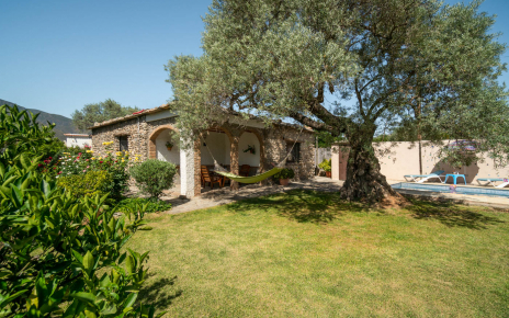 Zonas de césped con olivos y frutales