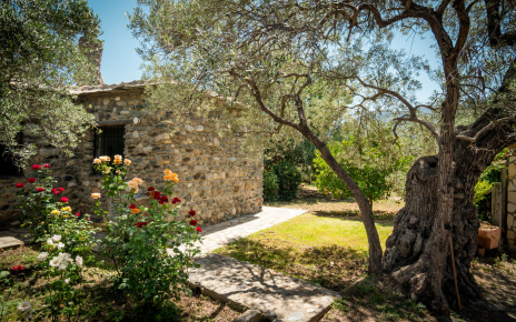 Jardines con árboles