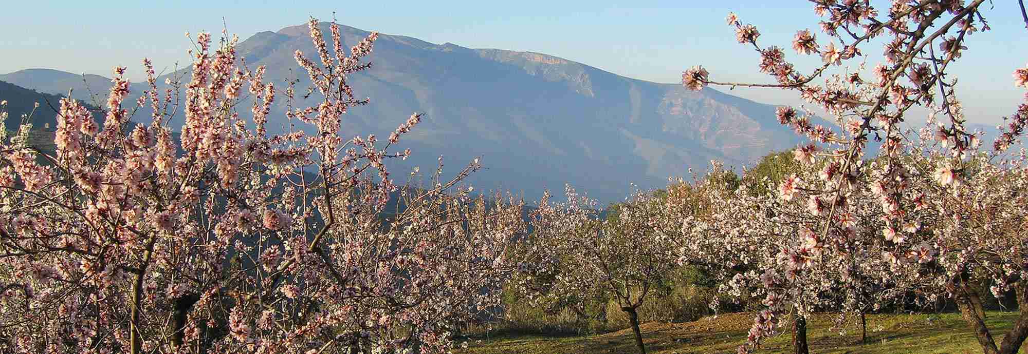 Holidays in Alpujarras